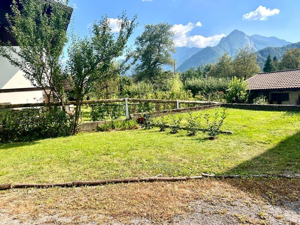 Casa Pura Lejlighed Ampezzo Eksteriør billede
